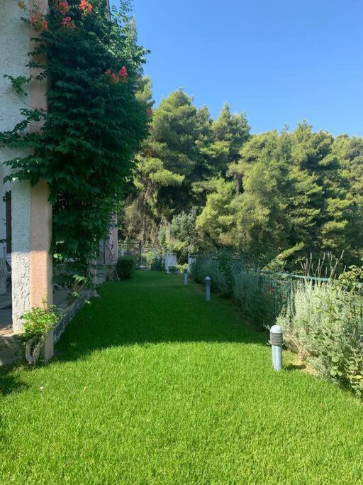 Amfiteatrico Sea View - Kalamos Attiki Markopoulon Oropou Exterior foto